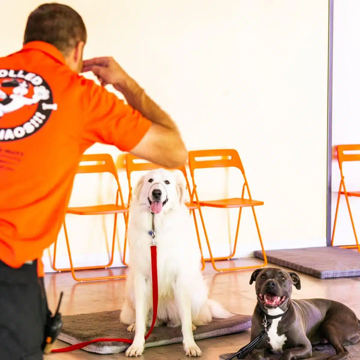 Dog trainer Elissa smiling with a Rottweiler dog outside