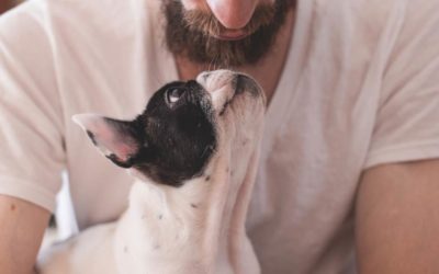 It’s Pet Appreciation Week! 5 Easy Ways To Show Your Dog Appreciation
