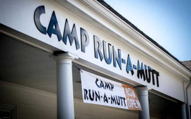 Exterior view of Camp Run-A-Mutt Dunwoody's signage