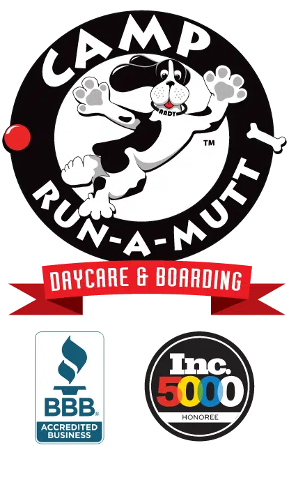 Camp run shop a mutt locations